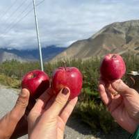 15 Days Annapurna Circuit trek (Thorong La Pass trek) traveler photo #1