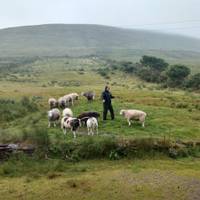 Photo de voyageur 7 jours d