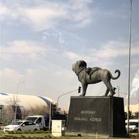 Absoluut Turkije – een rondreis in kleine groep: foto van de reiziger #3