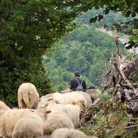 Alpes albaneses: Senderismo de Valbona a Theth en 3 días: foto del viajero #3