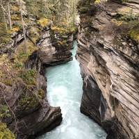 Panorámica de las Rocosas Canadienses (Rocky Mountaineer SilverLeaf): foto del viajero #1
