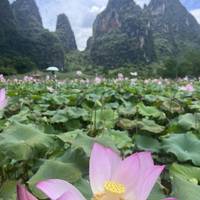 Die Essenz von Guilin Reise-Foto #2