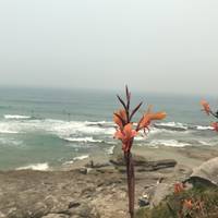 Photo de voyageur Introduction à l