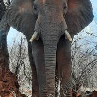 Mt Meru Beklimming 6 Dagen: foto van de reiziger #1
