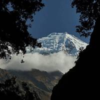 Photo de voyageur Trek de la vallée de Langtang 9 Nuits/ 10 Jours #1