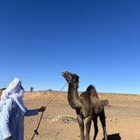 De Marrakech al desierto de Merzouga en 5 días: foto del viajero #3