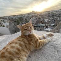 Fantastische Türkei traveler photo #1