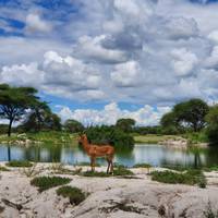 Preiswerte Tansania Safari ab Sansibar - 3 Tage Reise-Foto #2