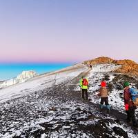 Kilimanjaro beklimmen Noordelijke Circuit Route - 10 dagen Trek: foto van de reiziger #3