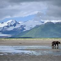 Photo de voyageur Alaska Kenai Adventure 9 jours #2