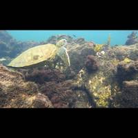 Galápagos al Aire Libre 9 Días: foto del viajero #1