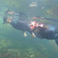 Galápagos al Aire Libre 9 Días: foto del viajero #2