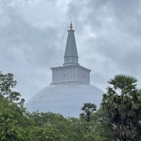 Eintauchen in die Welt von Sri Lanka Reise-Foto #1