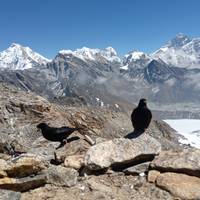 Gokyo en Everest Base Camp tocht: foto van de reiziger #3