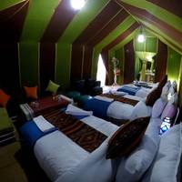 3 Tage Wüstentour von Marrakech nach Fes mit Luxus-Camp Reise-Foto #2