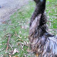 Photo de voyageur La Grande Route de l