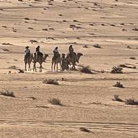 Jordanien Höhepunkte Reise-Foto #2