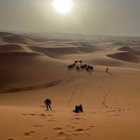 3 dagen Sahara Avontuur (Fes / Marrakech): foto van de reiziger #3