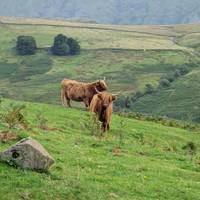 From Edinburgh: 5 Day York, the Dales, Lake District & Hadrian