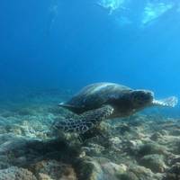 Bali Bucket List Original - 10 Tage Reise-Foto #3