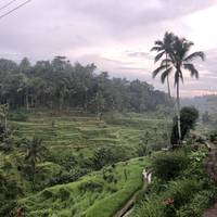 7 Days Bali and Gili Islands Epic Experience traveler photo #3