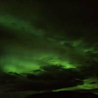 IJsland - Reykjavik, de Golden Circle & de zuidkust - 7 dagen: foto van de reiziger #1