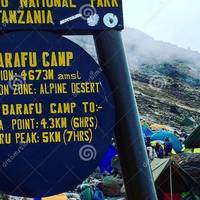 Kilimanjaro-beklimming - via de Machame route - incl. alle accommodatie en vervoer - 9 dagen: foto van de reiziger #1