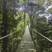 Photo de voyageur Costa Rica : Vagues de l