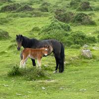 Lo más destacado del suroeste de Inglaterra: foto del viajero #2