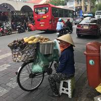 Wat Vietnam tekent - Realistic Asia - 13 dagen: foto van de reiziger #1