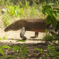 3D2N Sailing Komodo Flores, Indonesia traveler photo #3