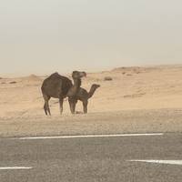 Vom Festland zur Insel, Kleingruppentour Reise-Foto #2