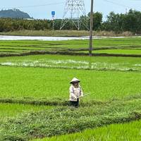 Fietsen van Hoi An naar Saigon - E bike: foto van de reiziger #2