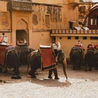 Indiens Bestseller: 6 Tage Goldenes Dreieck Indien Tour ab Flughafen Neu Delhi Reise-Foto #2