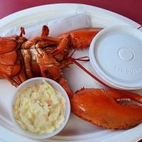 Wunder der Bay of Fundy Reise-Foto #1