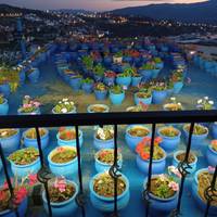 Photo de voyageur Circuit privé de 11 jours au départ de Casablanca #1