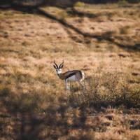 18- tot 35-jarigen: Echt Zuid-Afrika: foto van de reiziger #3