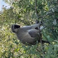 5 días, acampada en grupo económico con 2 noches en el Serengeti Safari en Tanzania: foto del viajero #3