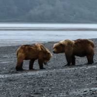 Alaska Adventure - 20 Days traveler photo #1
