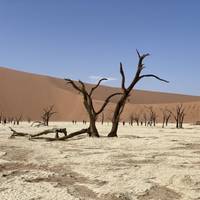 Kampeer-safari in Zuid-Namibië & Sossusvlei - 7 dagen: foto van de reiziger #3