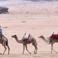 Explore The Lost City of Petra & Wadi Rum traveler photo #2