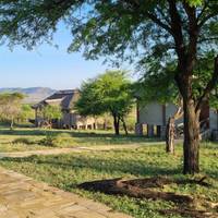 Safari de lujo de 5 días en Tanzania y experiencia en la catarata Materuni: foto del viajero #2