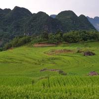 Photo de voyageur Circuit classique au Vietnam en 9 jours #2