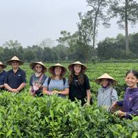 Xin Chao Vietnam in 11 Tagen Reise-Foto #1
