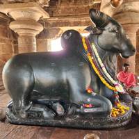 Photo de voyageur Voyage à Vijayanagara : De Goa à Hampi #3