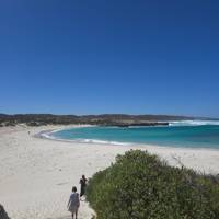 Kangaroo Island 2 day small group Wildlife Adventure (shared and private accomm available) traveler photo #2