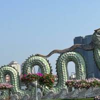 Photo de voyageur Les points forts du Vietnam en 10 jours - Forfait super avantageux #1