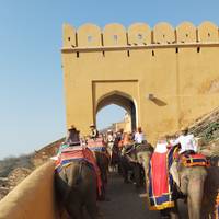 Photo de voyageur Circuit du Triangle d