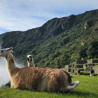 Photo de voyageur PERU JEWELS - 10 JOURS (LIMA - CUSCO & PUERTO MALDONADO) #3