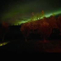 Nordlicht-Erkundung - 8 Tage Reise-Foto #3